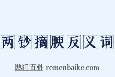 两钞摘腴反义词是什么意思的图片